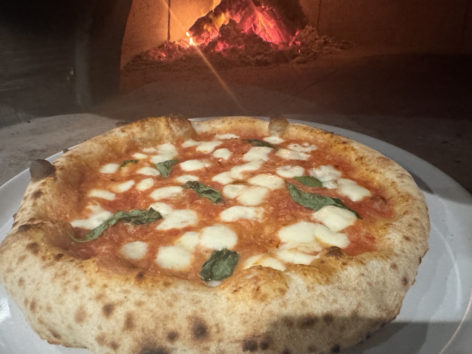 Margherita pizza in front of the glowing wood-fired oven at Salt